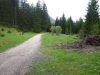 284_009_leutasch_2010.jpg