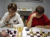 331_020_sektblitz_2008.jpg